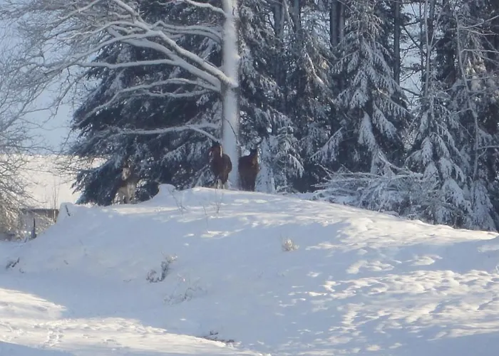 Horská chata L'atelier, 3*